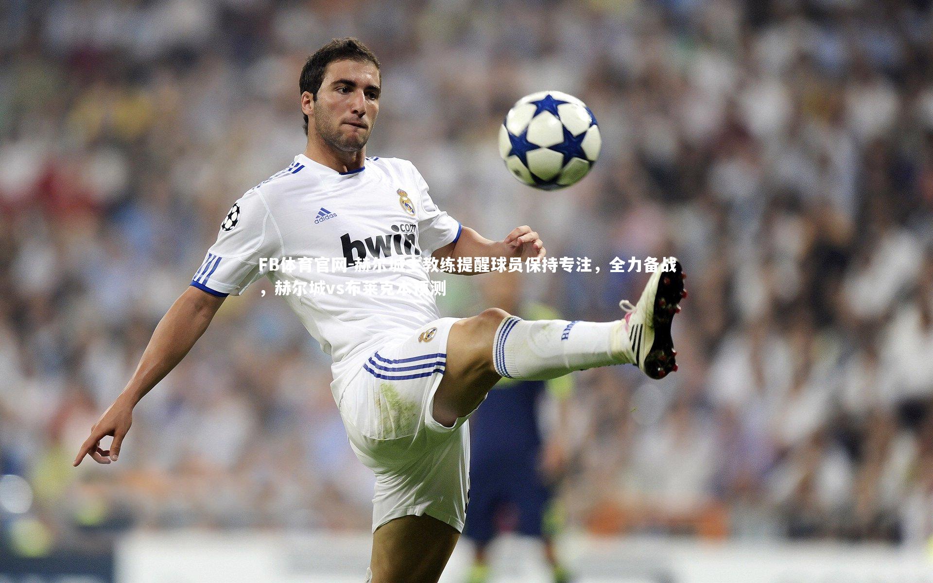 赫尔城主教练提醒球员保持专注,全力备战,赫尔城vs布莱克本预测