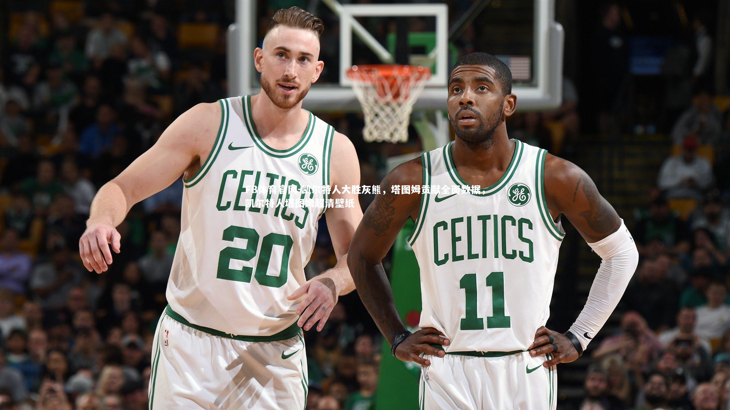 凯尔特人大胜灰熊，塔图姆贡献全面数据，凯尔特人塔图姆超清壁纸