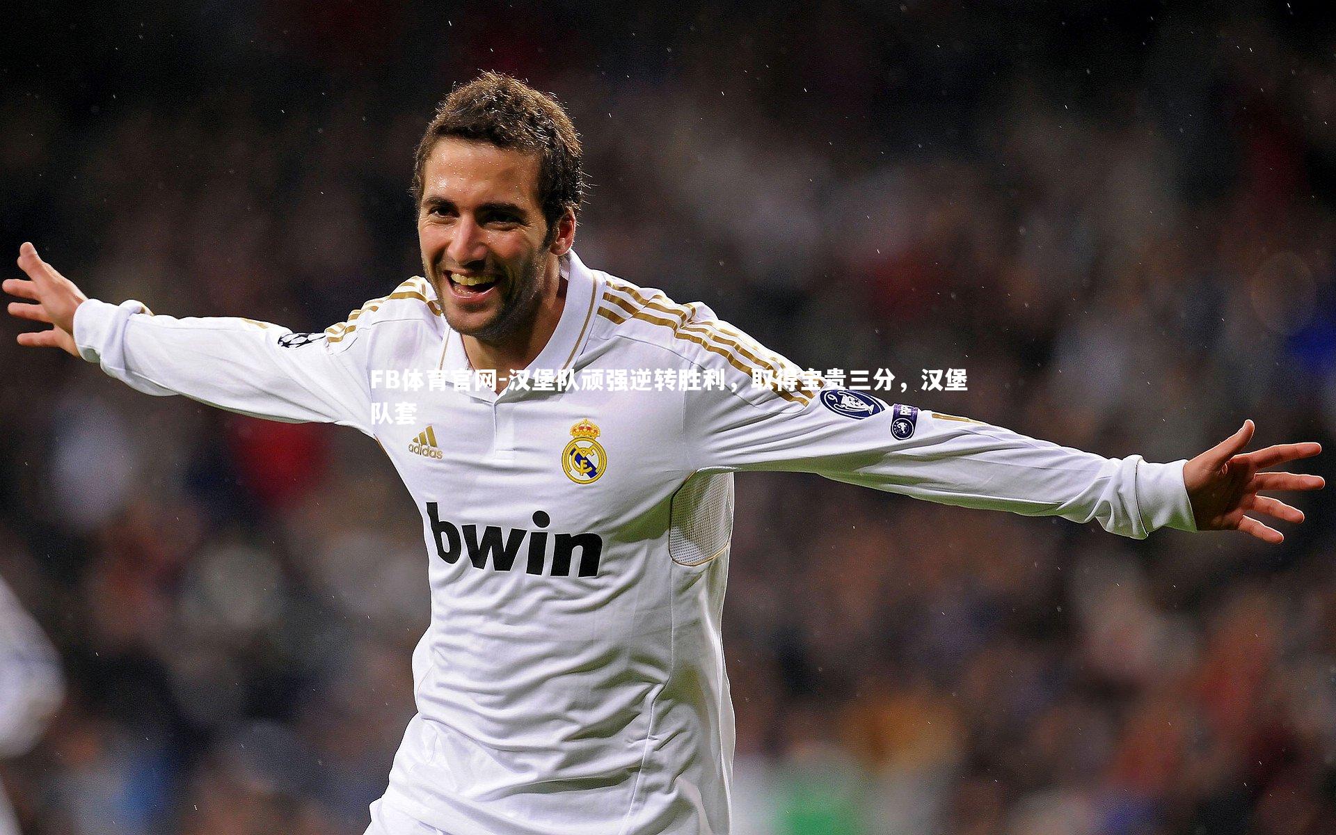 汉堡队顽强逆转胜利，取得宝贵三分，汉堡队套