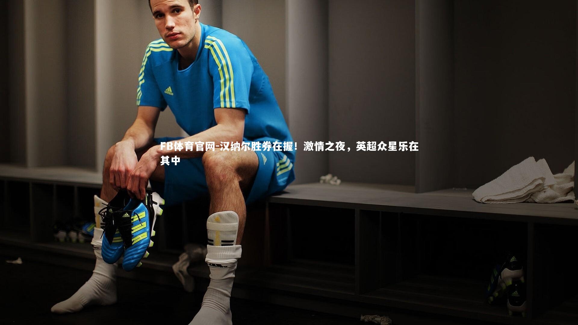 FB体育官网-汉纳尔胜券在握！激情之夜，英超众星乐在其中